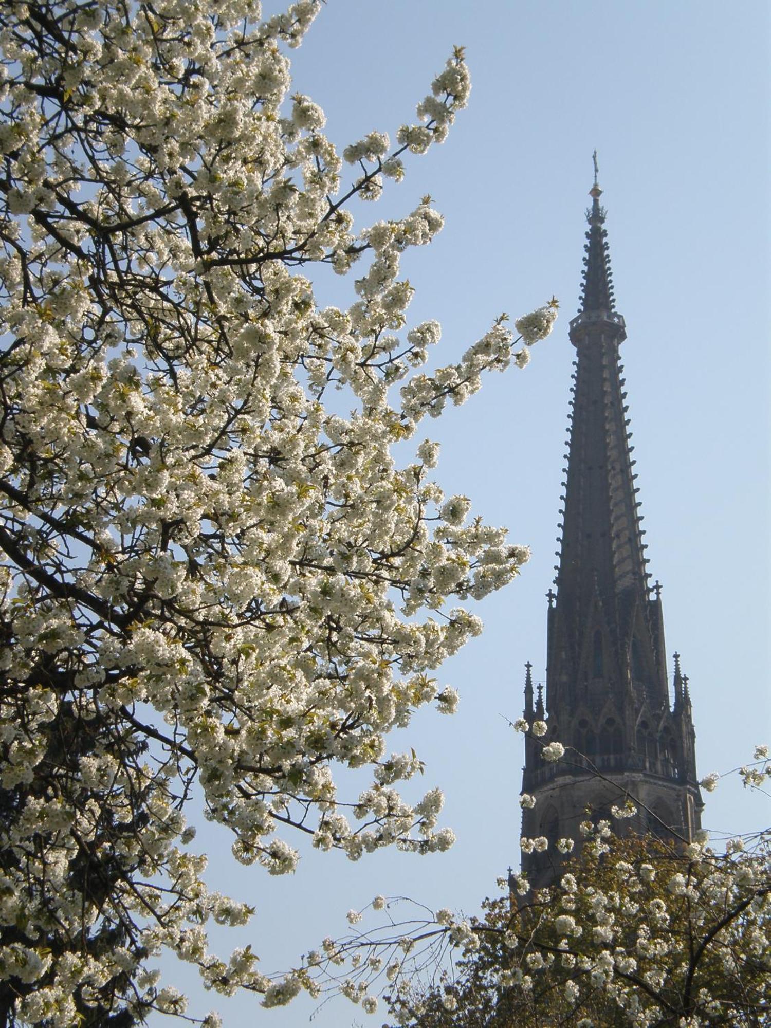 Dom Hotel Linz Luaran gambar